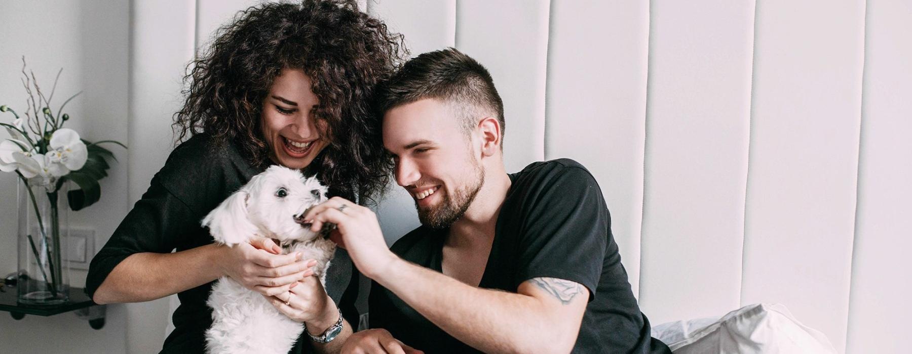 a man and woman sitting on a bed playing with a dog